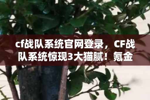 cf战队系统官网登录,CF战队系统惊现3大猫腻!氪金陷阱+伪创新,老玩家直呼上头又下头 cf战队系统官网登录,CF战队系统惊现3大猫腻!氪金陷阱+伪创新,老玩家直呼上头又下头