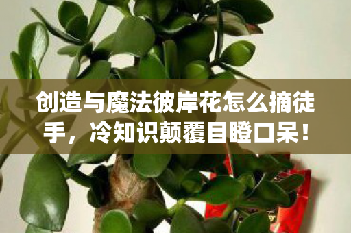 创造与魔法彼岸花怎么摘徒手,冷知识颠覆目瞪口呆!创造与魔法彼岸花摘法竟藏着宇宙级bug? 创造与魔法彼岸花怎么摘徒手,冷知识颠覆目瞪口呆!创造与魔法彼岸花摘法竟藏着宇宙级bug?