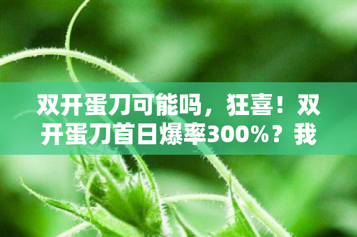 双开蛋刀可能吗,狂喜!双开蛋刀首日爆率300%?我的血泪实战心得大公开! 双开蛋刀可能吗,狂喜!双开蛋刀首日爆率300%?我的血泪实战心得大公开!