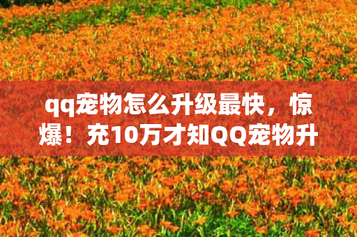 qq宠物怎么升级最快,惊爆!充10万才知QQ宠物升级是场骗局,隐情让人吓一跳! qq宠物怎么升级最快,惊爆!充10万才知QQ宠物升级是场骗局,隐情让人吓一跳!