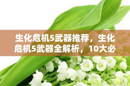 生化危机5武器推荐，生化危机5武器全解析，10大必选神器+3大避坑指南，实战心得大公开！