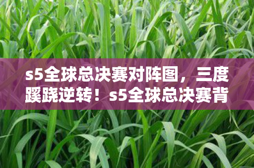 s5全球总决赛对阵图，三度蹊跷逆转！s5全球总决赛背后，那些让人后背发凉的真相