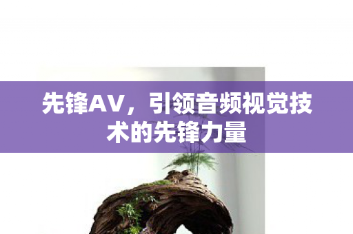 先锋AV，引领音频视觉技术的先锋力量