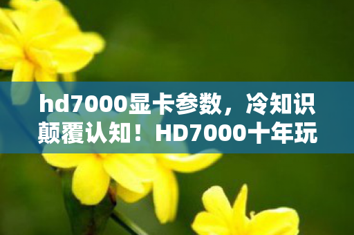 hd7000显卡参数,冷知识颠覆认知!HD7000十年玩家竟目瞪口呆,我从未真正懂过它 hd7000显卡参数,冷知识颠覆认知!HD7000十年玩家竟目瞪口呆,我从未真正懂过它