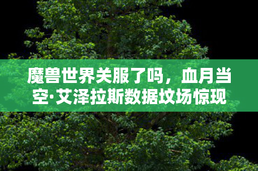 魔兽世界关服了吗,血月当空·艾泽拉斯数据坟场惊现百万玩家数字亡魂悬案 魔兽世界关服了吗,血月当空·艾泽拉斯数据坟场惊现百万玩家数字亡魂悬案