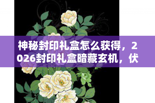 神秘封印礼盒怎么获得，2026封印礼盒暗藏玄机，伏笔揭开时我竟鼻子一酸