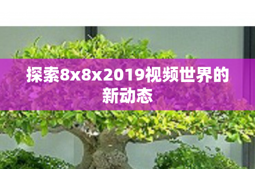 探索8x8x2019视频世界的新动态