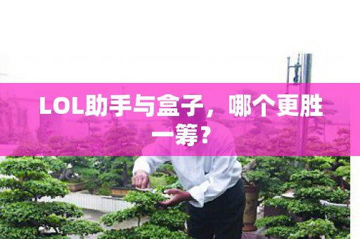 LOL助手与盒子,哪个更胜一筹? LOL助手与盒子,哪个更胜一筹?