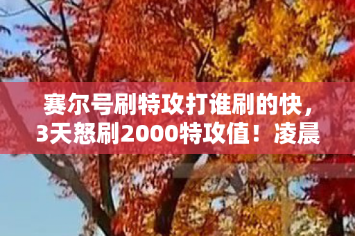 赛尔号刷特攻打谁刷的快，3天怒刷2000特攻值！凌晨3点的赛尔号，我为何在泪水中狂点鼠标？