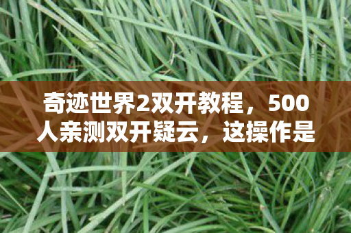 奇迹世界2双开教程，500人亲测双开疑云，这操作是外挂还是官方漏洞？玩家集体绷不住了！