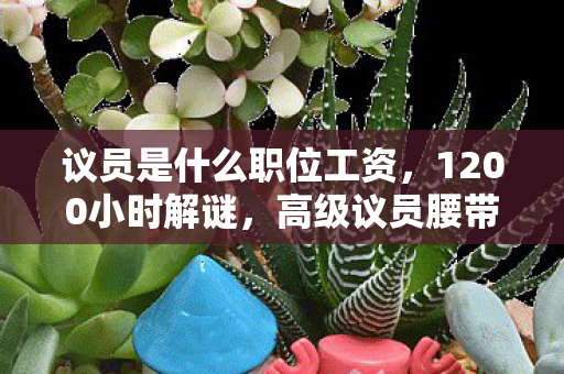 议员是什么职位工资,1200小时解谜,高级议员腰带藏尸案,最后3秒让全网泪腺崩坏 议员是什么职位工资,1200小时解谜,高级议员腰带藏尸案,最后3秒让全网泪腺崩坏