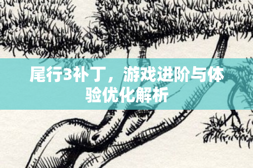 尾行3补丁，游戏进阶与体验优化解析