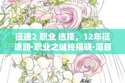 征途2 职业 选择，12年征途路·职业之谜终揭晓·泪目，那些消失的ID与永恒的0