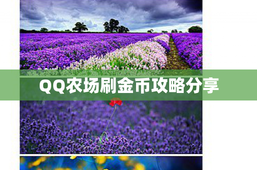 QQ农场刷金币攻略分享