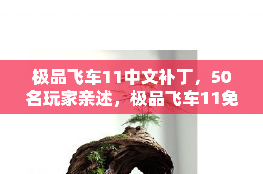 极品飞车11中文补丁,50名玩家亲述,极品飞车11免CD补丁疑云,真相让人绷不住! 极品飞车11中文补丁,50名玩家亲述,极品飞车11免CD补丁疑云,真相让人绷不住!
