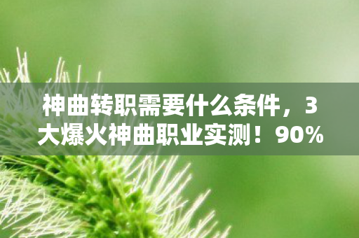 神曲转职需要什么条件,3大爆火神曲职业实测!90%玩家直呼真香的隐藏体验 神曲转职需要什么条件,3大爆火神曲职业实测!90%玩家直呼真香的隐藏体验