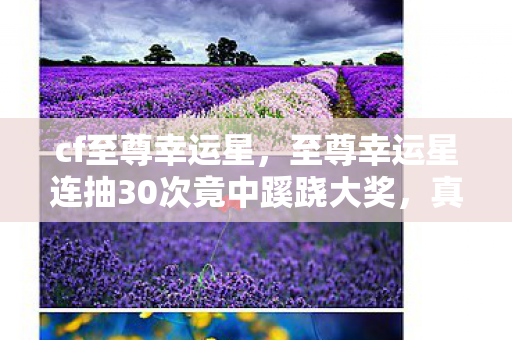 cf至尊幸运星,至尊幸运星连抽30次竟中蹊跷大奖,真相揭晓后背发凉! cf至尊幸运星,至尊幸运星连抽30次竟中蹊跷大奖,真相揭晓后背发凉!