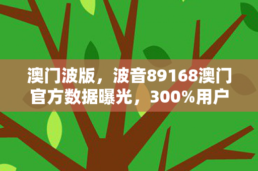 澳门波版，波音89168澳门官方数据曝光，300%用户回流率背后，游戏业竟被航空巨头截胡了？