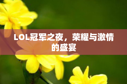 LOL冠军之夜，荣耀与激情的盛宴