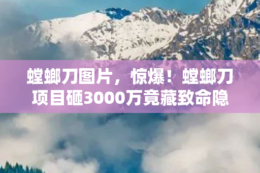 螳螂刀图片,惊爆!螳螂刀项目砸3000万竟藏致命隐情,真相让人吓一跳! 螳螂刀图片,惊爆!螳螂刀项目砸3000万竟藏致命隐情,真相让人吓一跳!