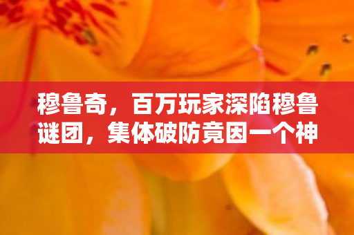 穆鲁奇,百万玩家深陷穆鲁谜团,集体破防竟因一个神秘坐标? 穆鲁奇,百万玩家深陷穆鲁谜团,集体破防竟因一个神秘坐标?