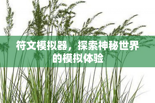 符文模拟器，探索神秘世界的模拟体验