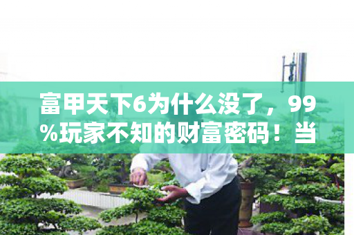 富甲天下6为什么没了,99%玩家不知的财富密码!当996社畜撞破富甲天下6的残酷真相 富甲天下6为什么没了,99%玩家不知的财富密码!当996社畜撞破富甲天下6的残酷真相