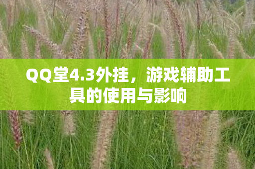 QQ堂4.3外挂，游戏辅助工具的使用与影响