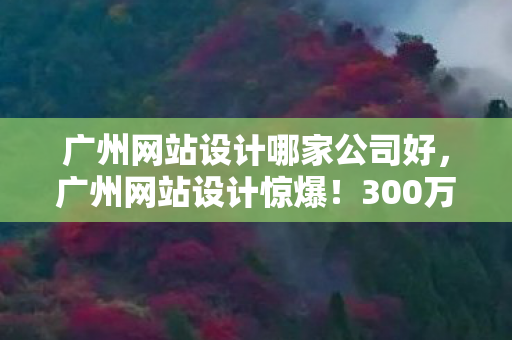 广州网站设计哪家公司好,广州网站设计惊爆!300万预算背后竟藏这隐情,看完吓一跳! 广州网站设计哪家公司好,广州网站设计惊爆!300万预算背后竟藏这隐情,看完吓一跳!