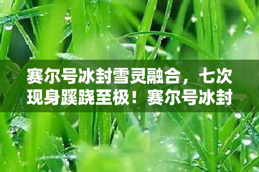 赛尔号冰封雪灵融合,七次现身蹊跷至极!赛尔号冰封雪灵背后真相让人后背发凉 赛尔号冰封雪灵融合,七次现身蹊跷至极!赛尔号冰封雪灵背后真相让人后背发凉