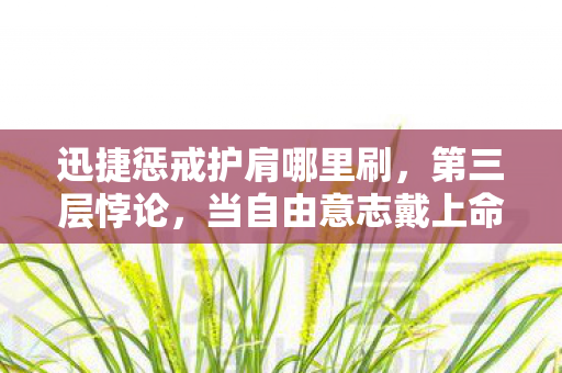 迅捷惩戒护肩哪里刷,第三层悖论,当自由意志戴上命运镣铐,灵魂震颤于选择之渊 迅捷惩戒护肩哪里刷,第三层悖论,当自由意志戴上命运镣铐,灵魂震颤于选择之渊