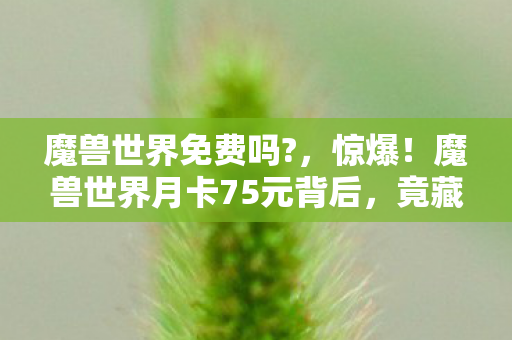 魔兽世界免费吗?,惊爆!魔兽世界月卡75元背后,竟藏着让玩家吓一跳的隐情! 魔兽世界免费吗?,惊爆!魔兽世界月卡75元背后,竟藏着让玩家吓一跳的隐情!