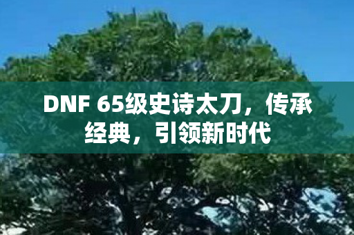 DNF 65级史诗太刀，传承经典，引领新时代