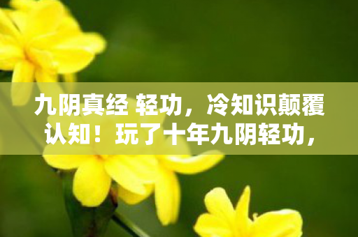 九阴真经 轻功,冷知识颠覆认知!玩了十年九阴轻功,真相让我目瞪口呆 九阴真经 轻功,冷知识颠覆认知!玩了十年九阴轻功,真相让我目瞪口呆