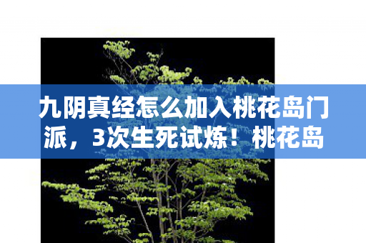九阴真经怎么加入桃花岛门派,3次生死试炼!桃花岛入岛密码竟藏在这串神秘数字里? 九阴真经怎么加入桃花岛门派,3次生死试炼!桃花岛入岛密码竟藏在这串神秘数字里?