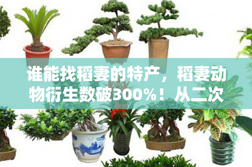 谁能找稻妻的特产,稻妻动物衍生数破300%!从二次元到三次元的破圈狂想曲 谁能找稻妻的特产,稻妻动物衍生数破300%!从二次元到三次元的破圈狂想曲