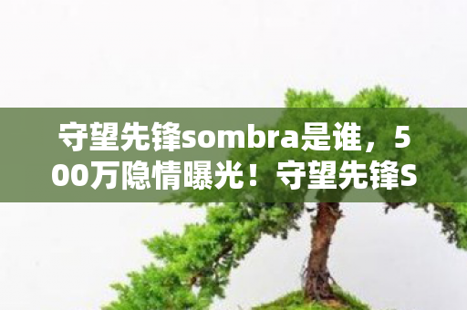 守望先锋sombra是谁,500万隐情曝光!守望先锋Sombra项目惊天内幕,吓一跳的烂尾真相 守望先锋sombra是谁,500万隐情曝光!守望先锋Sombra项目惊天内幕,吓一跳的烂尾真相