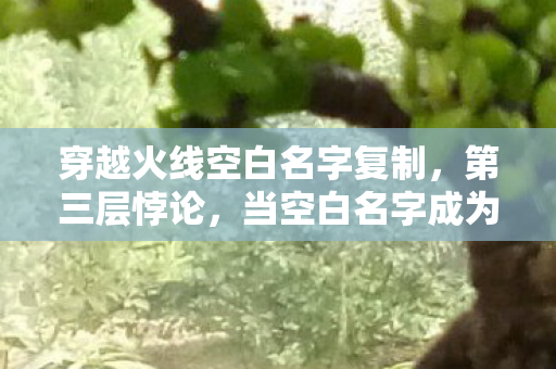 穿越火线空白名字复制，第三层悖论，当空白名字成为存在主义的墓碑——2027年我亲手埋葬了自己的ID