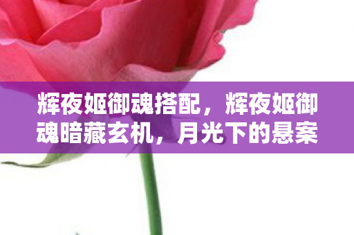 辉夜姬御魂搭配,辉夜姬御魂暗藏玄机,月光下的悬案,毛骨悚然自掘坟墓 辉夜姬御魂搭配,辉夜姬御魂暗藏玄机,月光下的悬案,毛骨悚然自掘坟墓