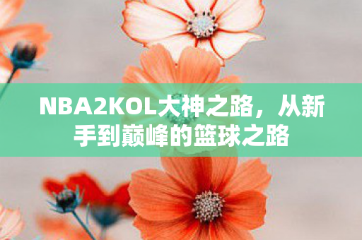 NBA2KOL大神之路，从新手到巅峰的篮球之路