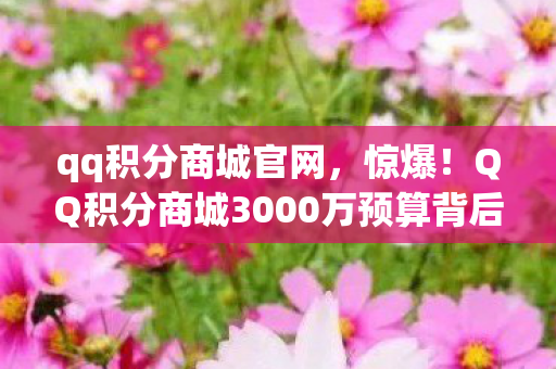 qq积分商城官网,惊爆!QQ积分商城3000万预算背后,竟藏着让策划集体摔键盘的隐情! qq积分商城官网,惊爆!QQ积分商城3000万预算背后,竟藏着让策划集体摔键盘的隐情!