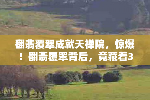 翻翡覆翠成就天禅院,惊爆!翻翡覆翠背后,竟藏着3个颠覆认知的神秘设计! 翻翡覆翠成就天禅院,惊爆!翻翡覆翠背后,竟藏着3个颠覆认知的神秘设计!