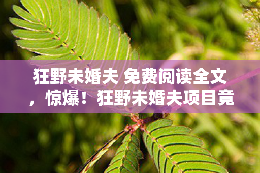 狂野未婚夫 免费阅读全文,惊爆!狂野未婚夫项目竟砍掉5000万玩法,背后隐情让人吓一跳! 狂野未婚夫 免费阅读全文,惊爆!狂野未婚夫项目竟砍掉5000万玩法,背后隐情让人吓一跳!