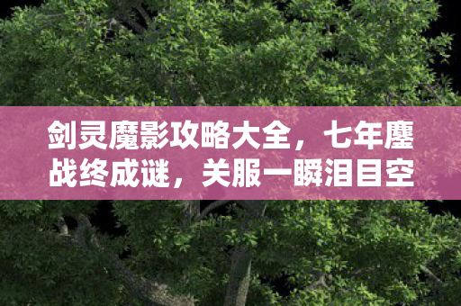 剑灵魔影攻略大全，七年鏖战终成谜，关服一瞬泪目空——剑灵魔影的沉默葬礼