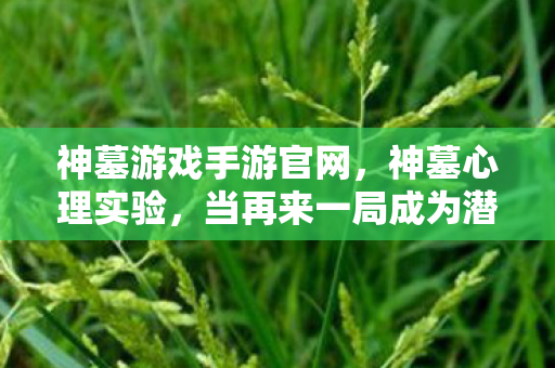 神墓游戏手游官网，神墓心理实验，当再来一局成为潜意识操控，你的沉迷细思极恐
