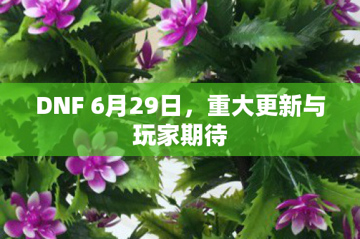 DNF 6月29日，重大更新与玩家期待