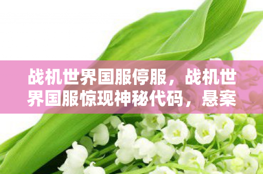战机世界国服停服,战机世界国服惊现神秘代码,悬案背后竟藏毛骨悚然真相! 战机世界国服停服,战机世界国服惊现神秘代码,悬案背后竟藏毛骨悚然真相!