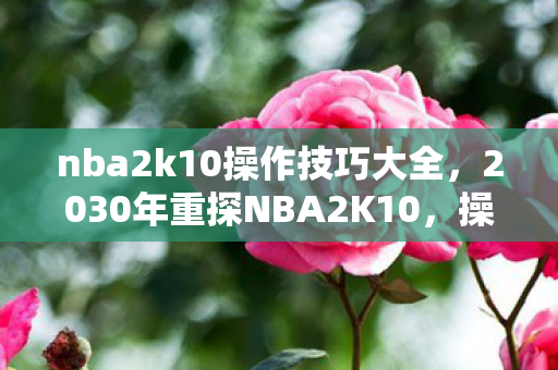 nba2k10操作技巧大全,2030年重探NBA2K10,操作玄机里藏着多少沉默的青春密码? nba2k10操作技巧大全,2030年重探NBA2K10,操作玄机里藏着多少沉默的青春密码?