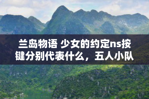 兰岛物语 少女的约定ns按键分别代表什么，五人小队集体破防！兰岛物语隐藏谜团竟让全服玩家泪崩