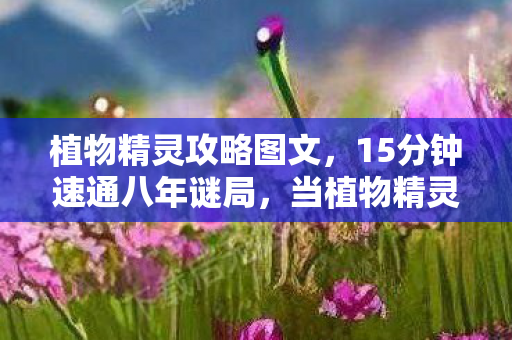 植物精灵攻略图文,15分钟速通八年谜局,当植物精灵关服时,我的泪目清单里只有失去二字 植物精灵攻略图文,15分钟速通八年谜局,当植物精灵关服时,我的泪目清单里只有失去二字